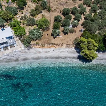 By The Sea ネオ・キリマ